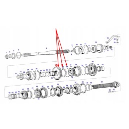 G199100080010 gear wheel and gear with synchro