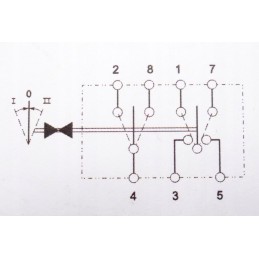 Auto off auto 7 pin key switch 444256