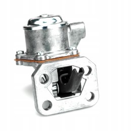 Diaphragm feed pump 3802697