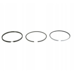 Set of piston rings for the q110 mm c 385 engine