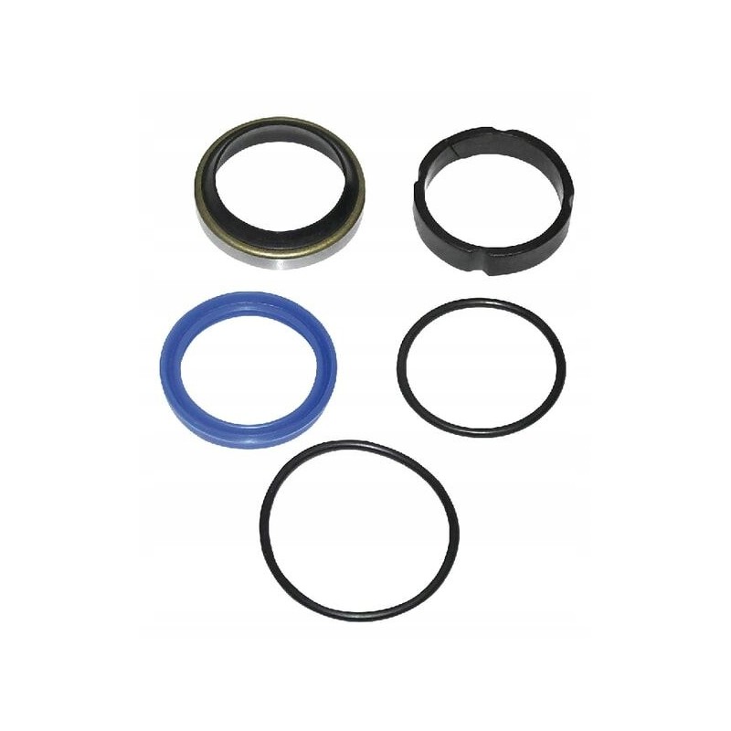 Motowidel New Holland cylinder seal kit