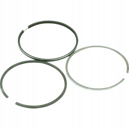 Set of rings 110mm 89003900 agtech