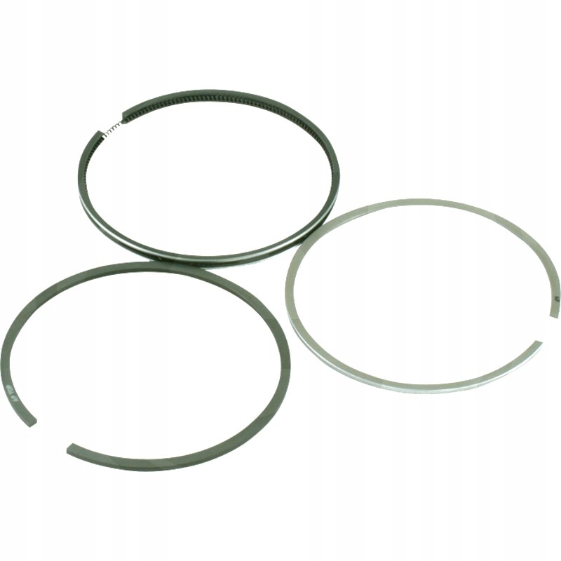 Set of rings 110mm 89003900 agtech