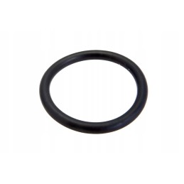 0013013410 o-ring 20 x 2 5