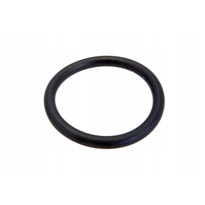 0013013410 o-ring 20 x 2 5