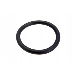 0013013410 o-ring 20 x 2 5