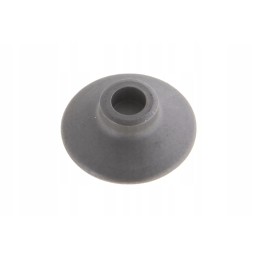 F824200710070 injector valve