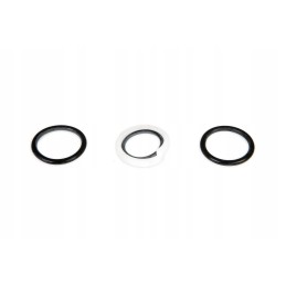 321895 0 set of sealing rings
