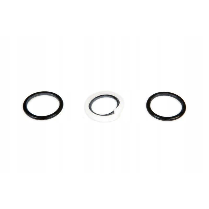 321895 0 set of sealing rings
