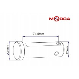 Lower lever joint pin c 385 84450042m