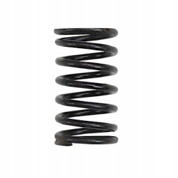 Internal valve spring 80005012 c 385 sold