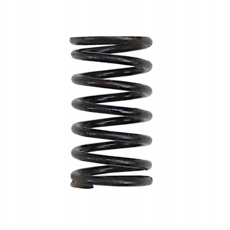 Internal valve spring 80005012 c 385 sold