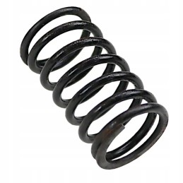 Internal valve spring 80005012 c 385 sold