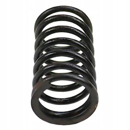 Internal valve spring 80005012 c 385 sold