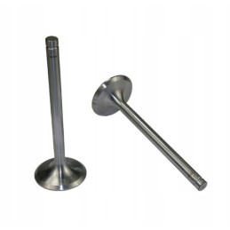 Standard suction valve c 385 original ursus 4