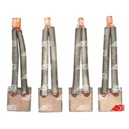 As pl SB9006 carbon brush starter