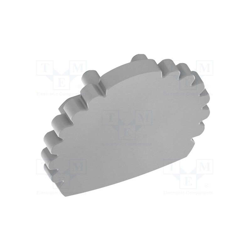 1 pcg x GTV Poland - PA-ZASGLAXDR-00 - Cap for LED profiles, silver, 10pcs, GTV-GLAXDR-AL-2M