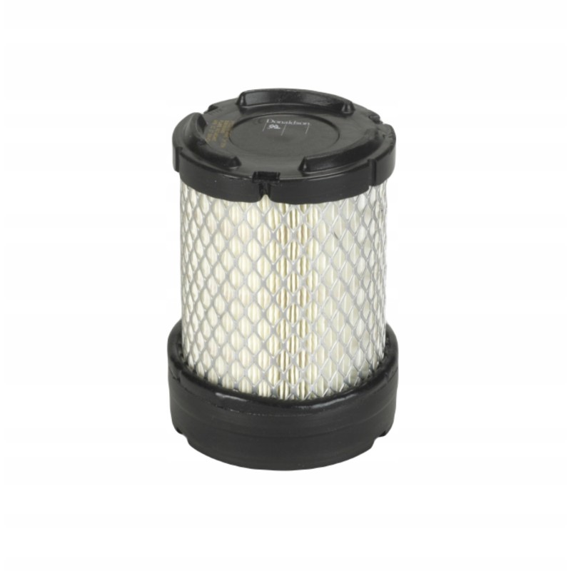 Donaldson P533110 air filter