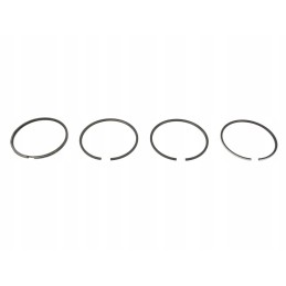 Engine piston rings set zetor 6011 0096 6011