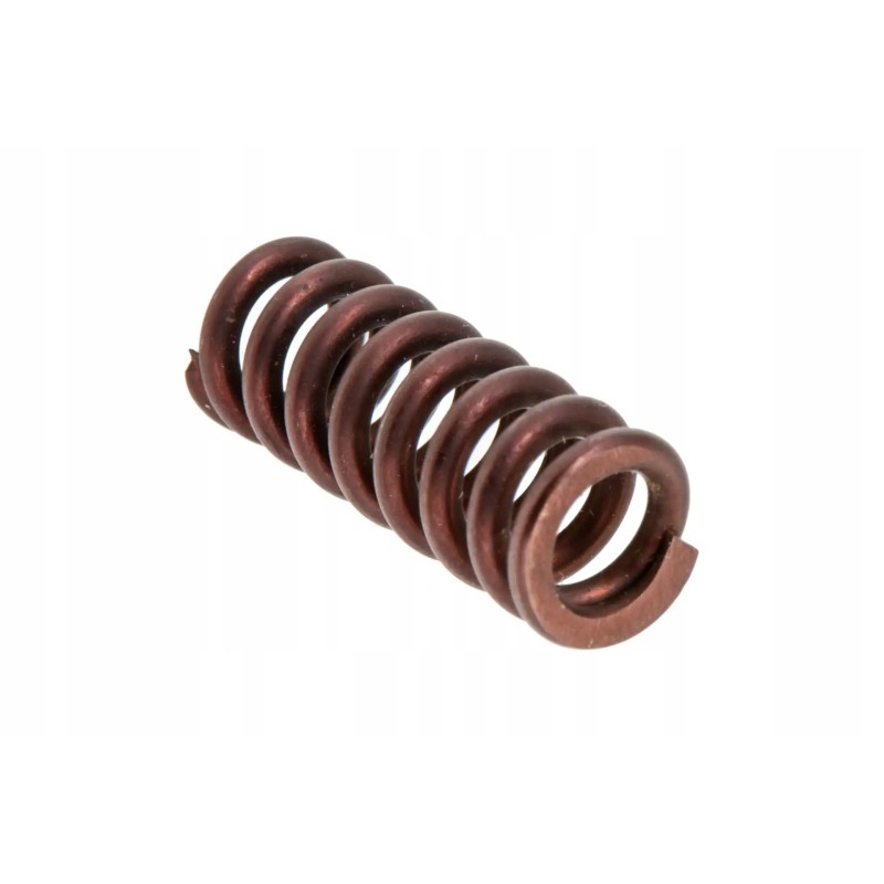 Ft250 37 148 guide ball spring