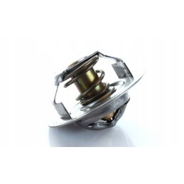 Thermostat dawid brown case 895311h1 polmo