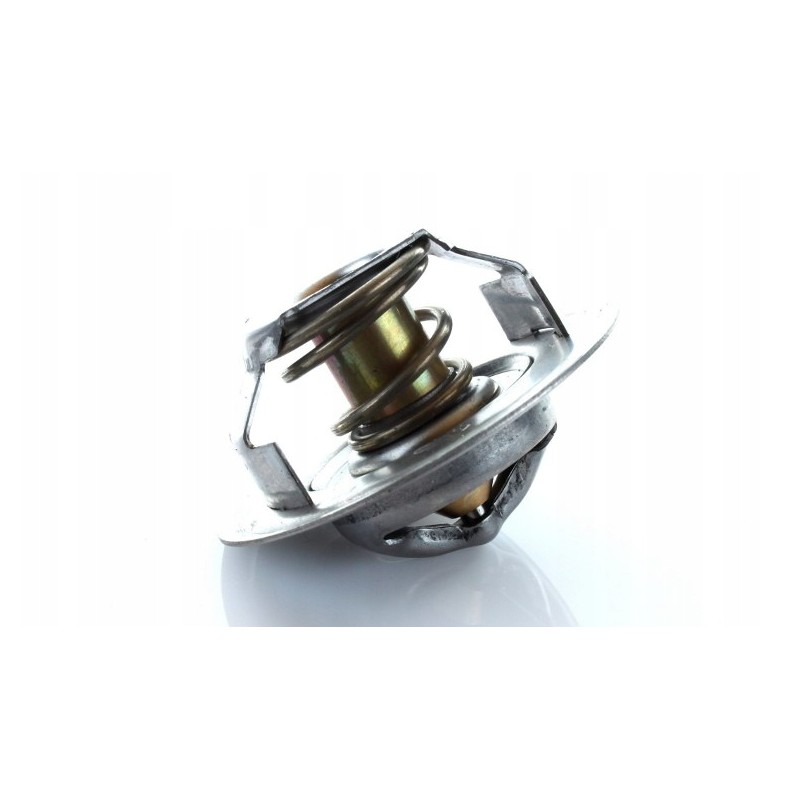 Thermostat dawid brown case 895311h1 polmo