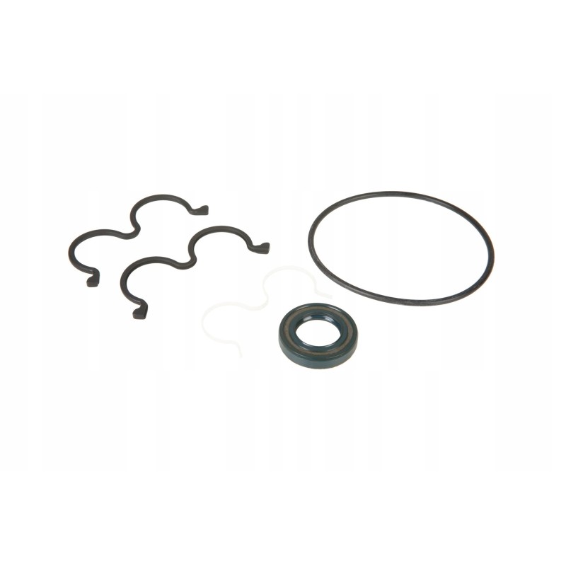 0011300070 hydraulic pump seals