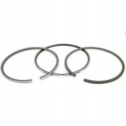 Massey 3425 mf piston rings 4225072m91