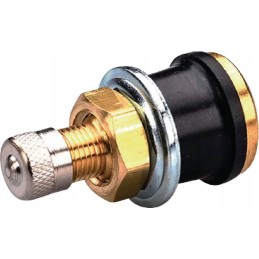 Valve for tubeless tires air water TR575