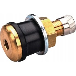 Valve for tubeless tires air water TR575