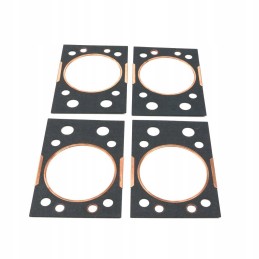 Copper-clad head gasket c 360 46505120mu