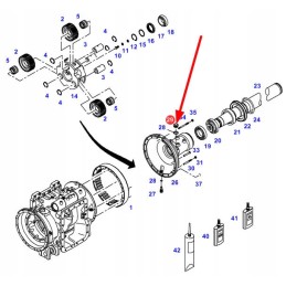X484404001000 rear axle housing drain plug