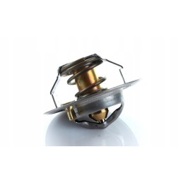 Thermostat landidni case 895311h1 1446128m91 polmo