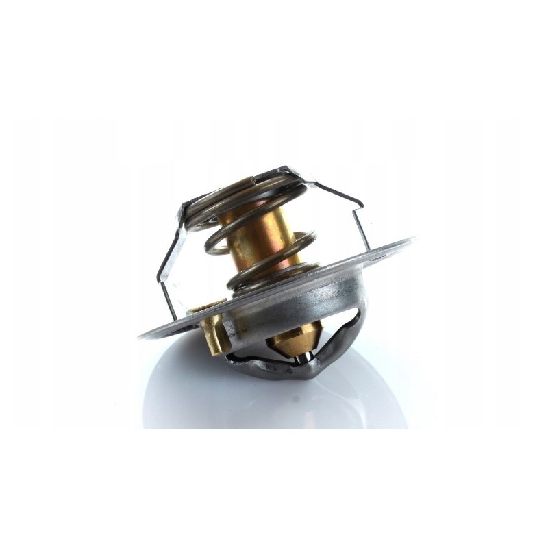 Thermostat landidni case 895311h1 1446128m91 polmo