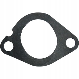 Front gasket of the intake manifold 368 664 62