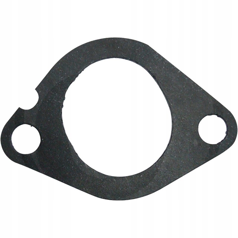 Front gasket of the intake manifold 368 664 62