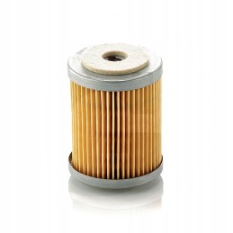 Hanomag Case Mann P609 fuel filter