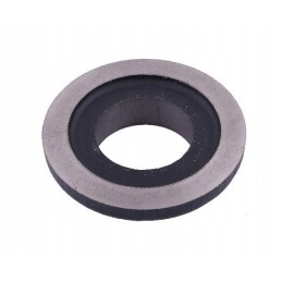 Warynski disk bearing sleeve cap in 1