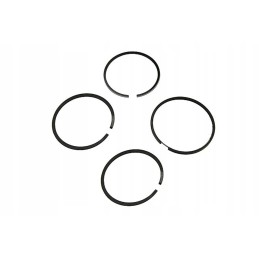 Set of piston rings for the 1-piston C 385w engine