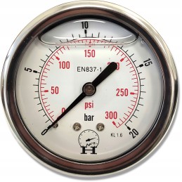 Pressure gauge 0 20 bar, rear connection