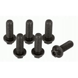 Sachs 1874 000 045 flywheel bolt set
