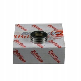 Power steering cylinder piston plowing