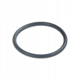 Ring o-ring fendt x548892266000 original