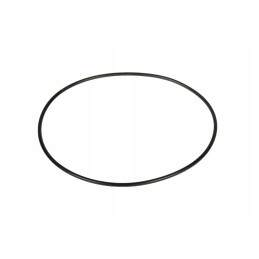 V614706815 fuel pump o-ring