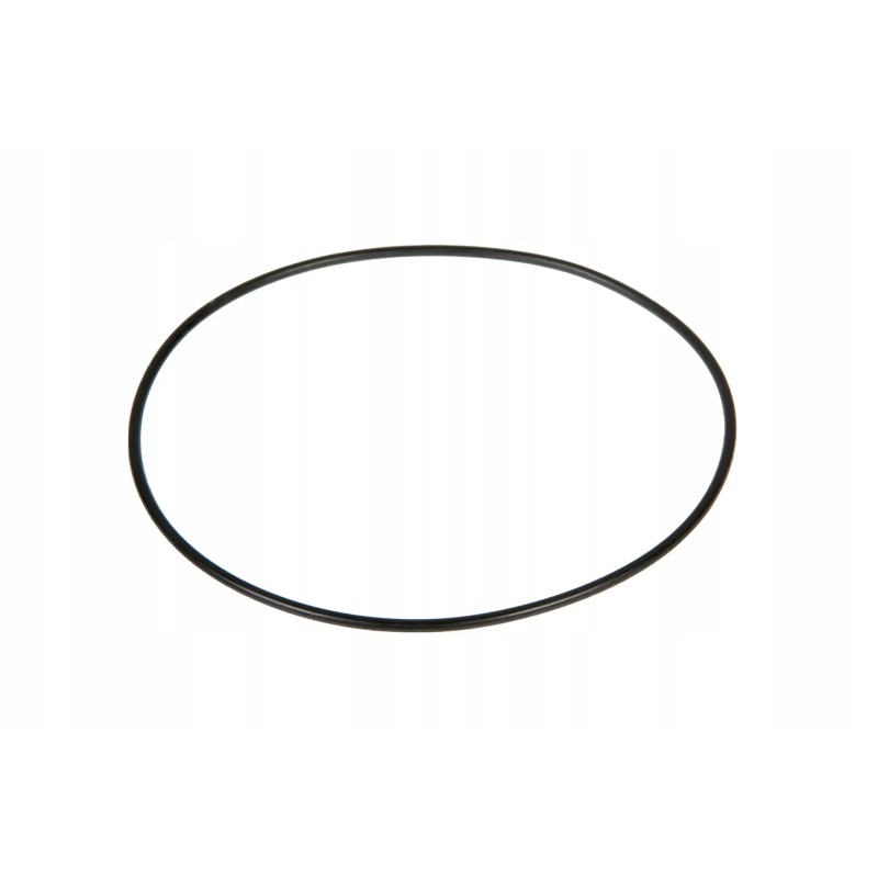 V614706815 fuel pump o-ring