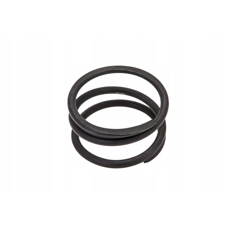 P5m31501161 differential gear spring