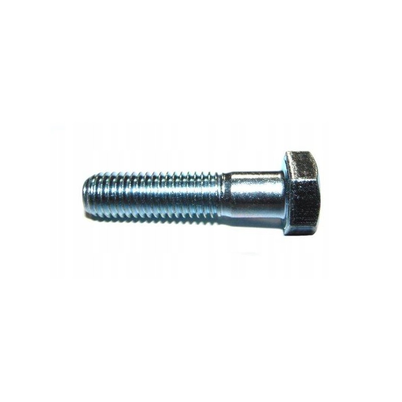M12x60 screw, motogeneric galvanized