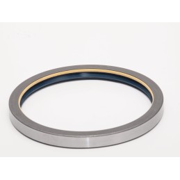 Sealant 165x190x17 corteco combi