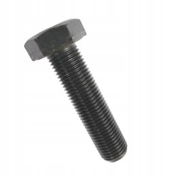 Screw M14x1 5x55 motogeneric