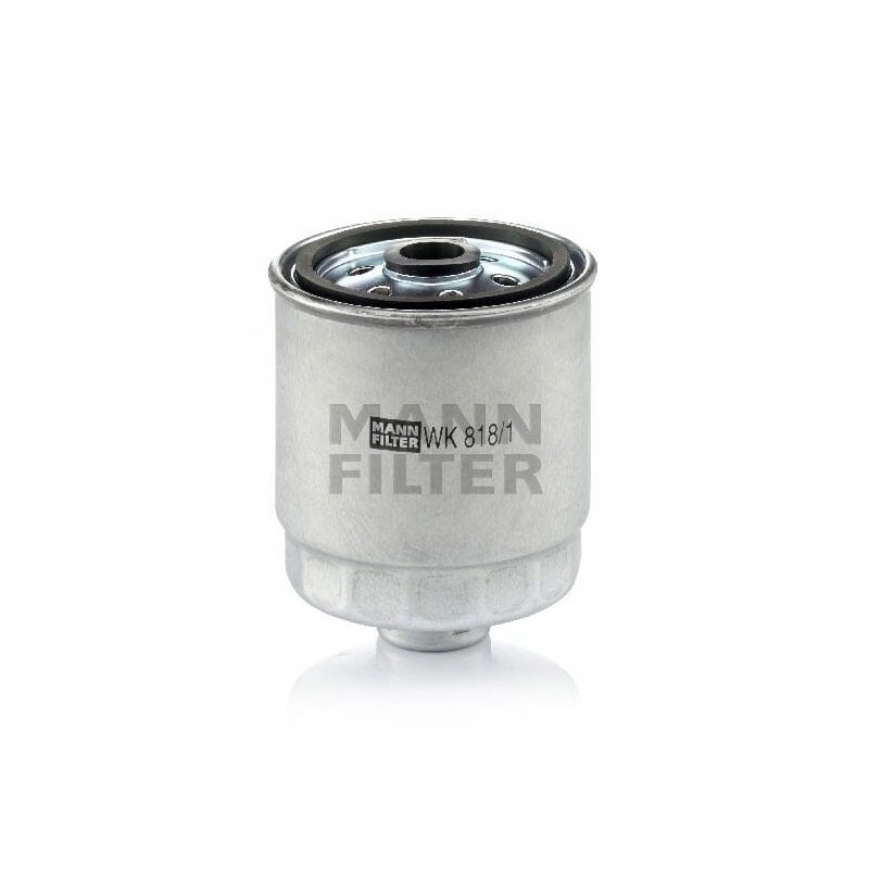 Hyundai Accent II fuel filter